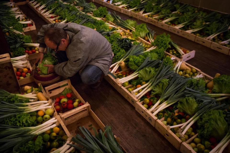 Fruta Feia no Público